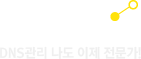 DNSZi